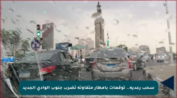 سحب رعدية.. توقعات بأمطار متفاوتة تضرب جنوب الوادي الجديد